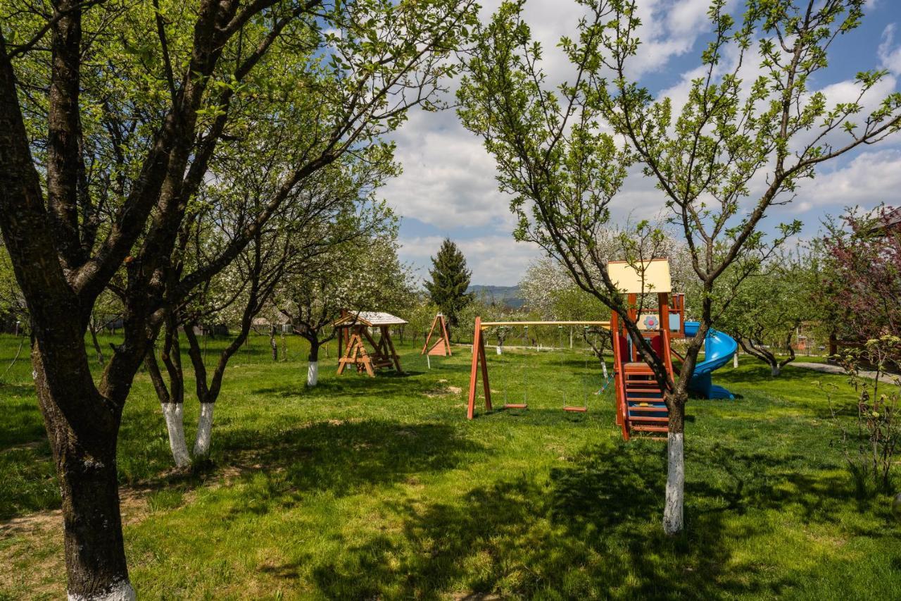 Pensiunea Coronita Вишеу-де-Сус Экстерьер фото