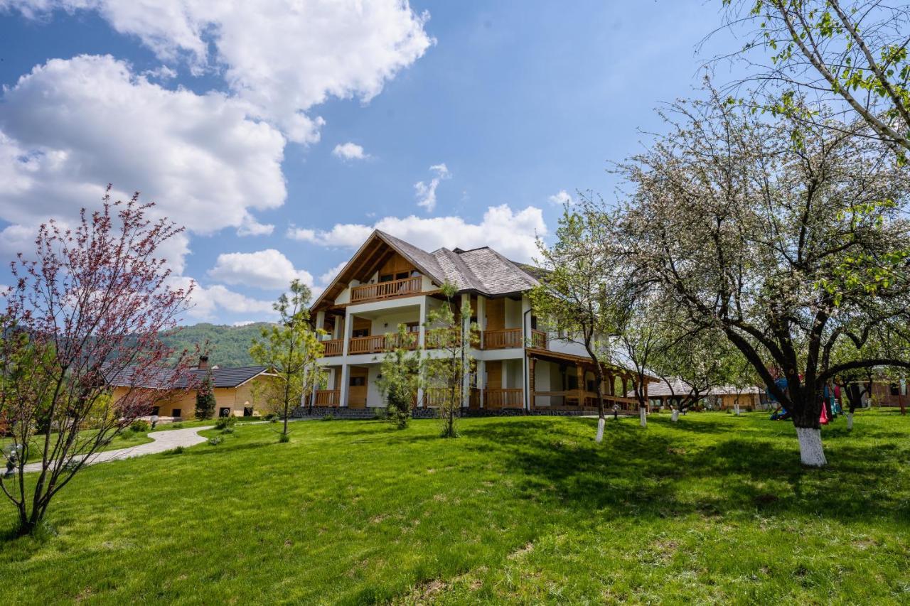 Pensiunea Coronita Вишеу-де-Сус Экстерьер фото