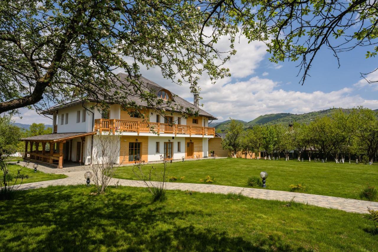 Pensiunea Coronita Вишеу-де-Сус Экстерьер фото